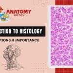 Introduction to Histology - Applications & Importance