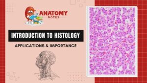 Introduction to Histology - Applications & Importance