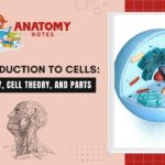 An Introduction to Cells: Discovery, Cell Theory, and Parts