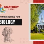 The Top 10 Global Universities for Biology