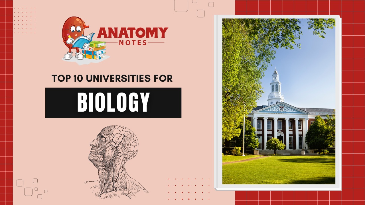 Top 10 Universities for Biology