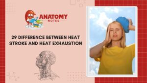 Heat Stroke and Heat Exhaustion