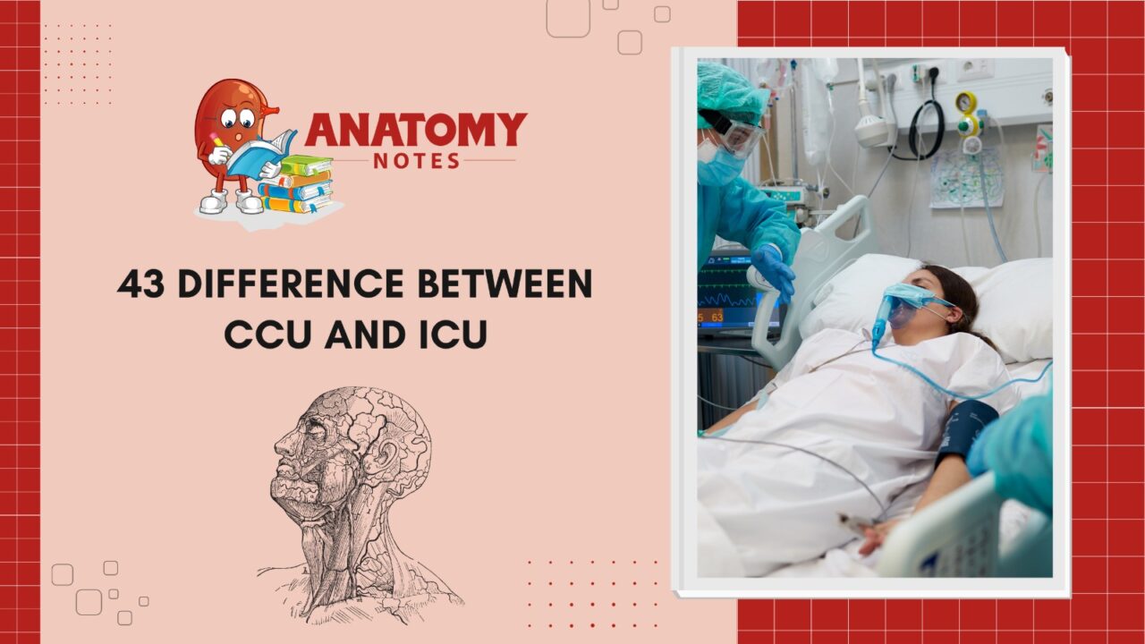 43 Difference Between CCU and ICU