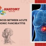 acute and chronic pancreatitis