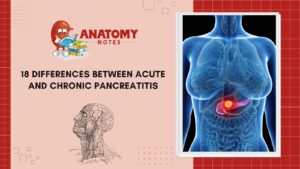 acute and chronic pancreatitis