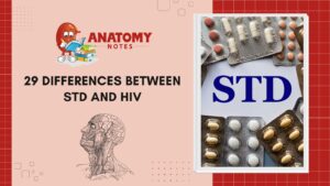 STD and HIV