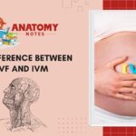 IVF and IVM