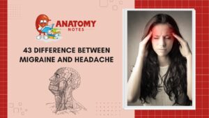 43 Difference Between Migraine and Headache