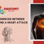 angina and heart attack