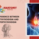 Hypothyroidism and Hyperthyroidism