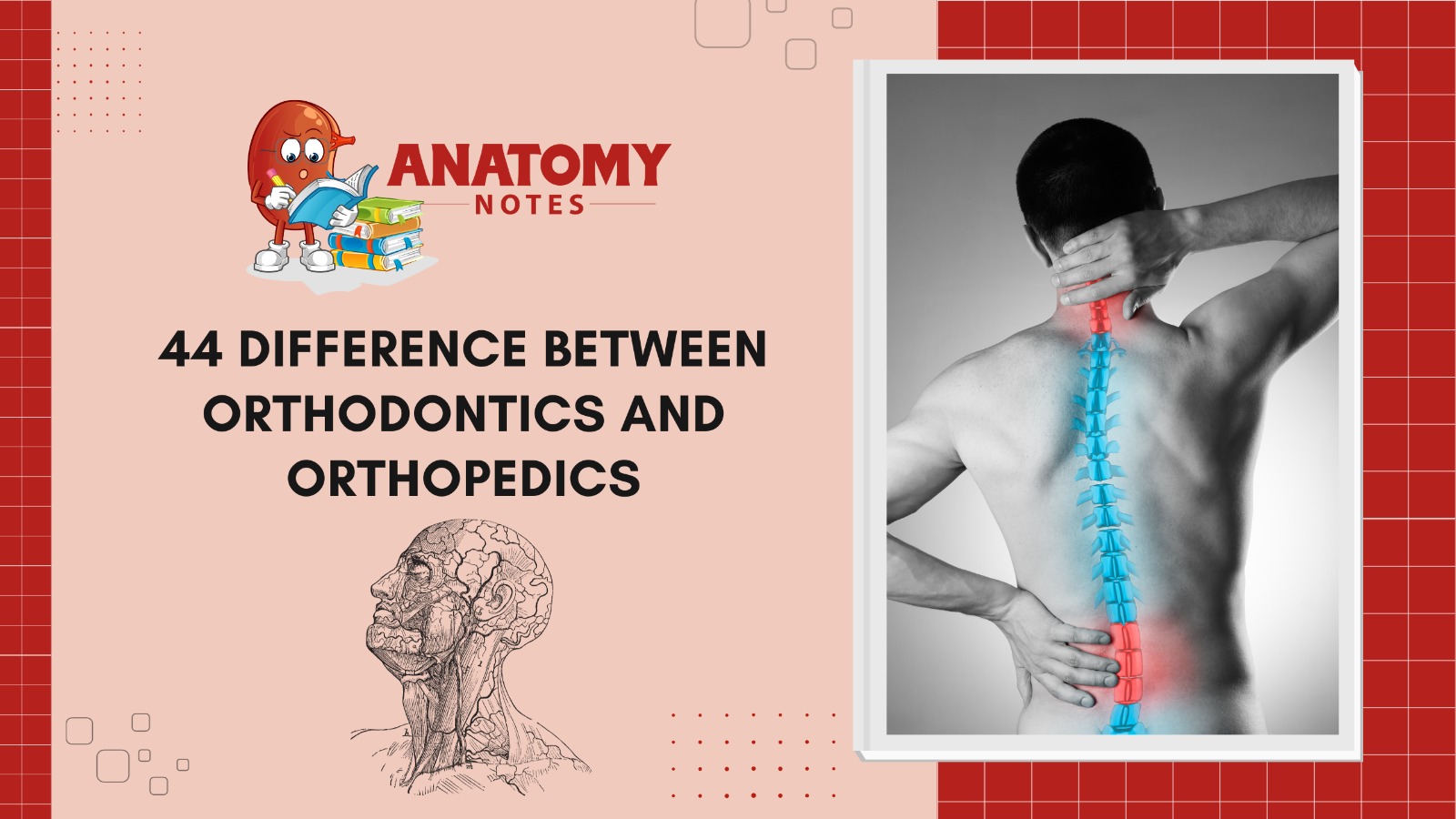 44 Difference Between Orthodontics and Orthopedics