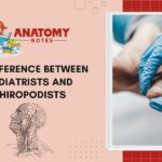 33 Difference Between Podiatrists and Chiropodists