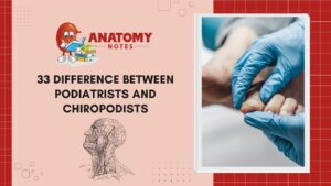33 Difference Between Podiatrists and Chiropodists