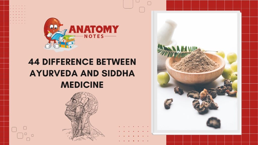 44 Difference Between Ayurveda And Siddha Medicine