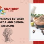 44 Difference Between Ayurveda and Siddha Medicine