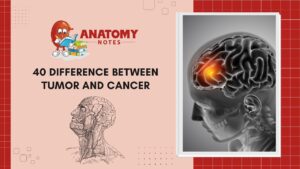 40 Difference Between Tumor and Cancer