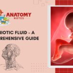 Amniotic Fluid - A Comprehensive Guide