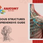 Analogous Structures - A Comprehensive Guide