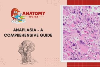 Anaplasia - A Comprehensive Guide