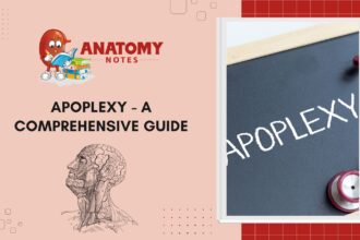 Apoplexy - A Comprehensive Guide