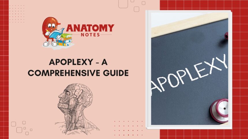 Apoplexy - A Comprehensive Guide