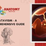 Atavism - A Comprehensive Guide