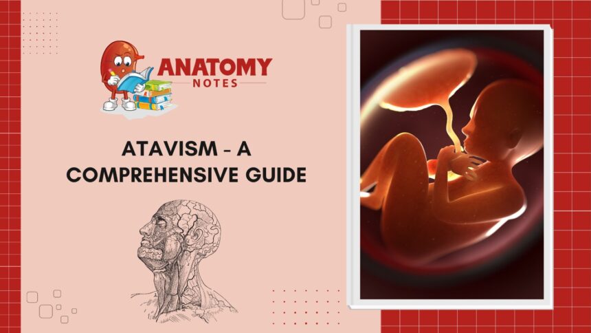 Atavism - A Comprehensive Guide