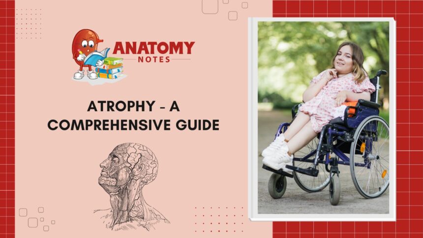 Atrophy - A Comprehensive Guide
