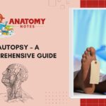 Autopsy - A Comprehensive Guide