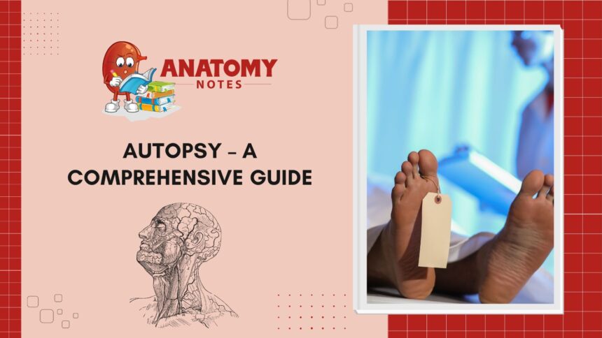 Autopsy - A Comprehensive Guide