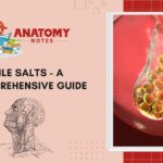 Bile Salts - A Comprehensive Guide