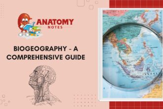 Biogeography - A Comprehensive Guide