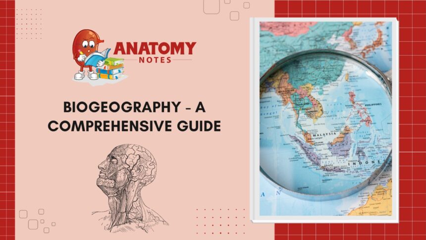 Biogeography - A Comprehensive Guide