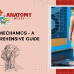 Biomechanics - A Comprehensive Guide