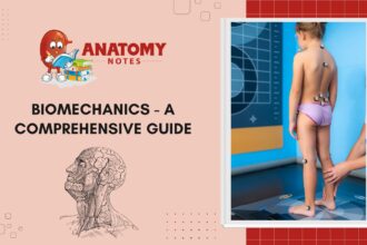 Biomechanics - A Comprehensive Guide