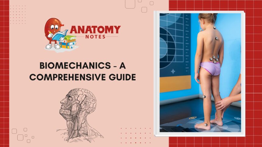 Biomechanics - A Comprehensive Guide