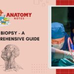 Biopsy - A Comprehensive Guide