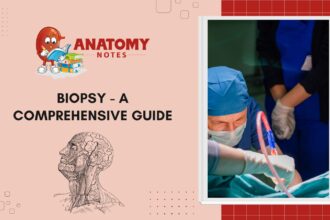 Biopsy - A Comprehensive Guide