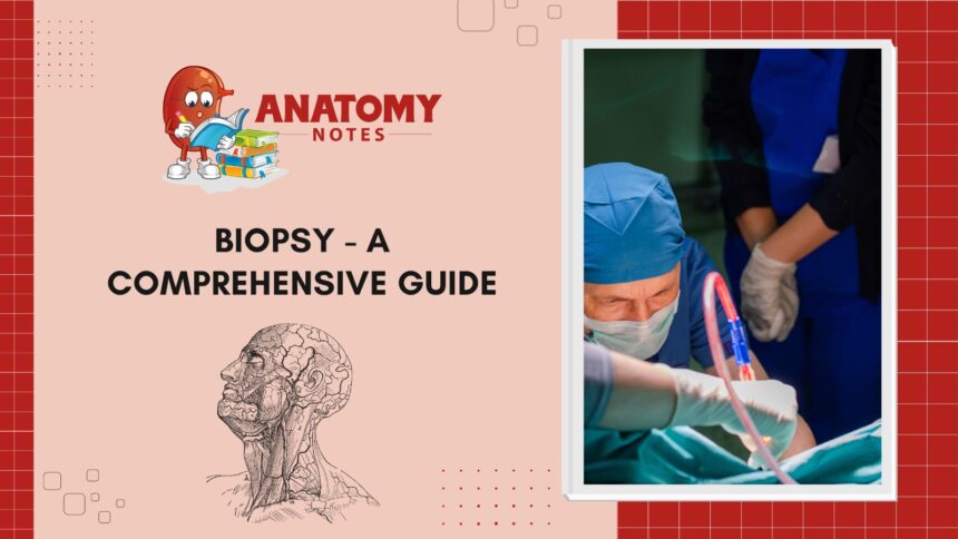 Biopsy - A Comprehensive Guide