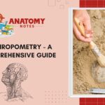 Anthropometry - A Comprehensive Guide