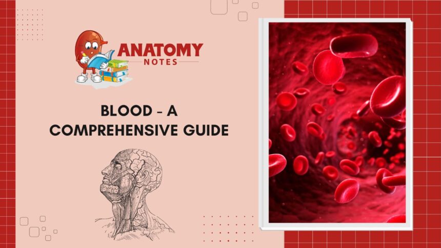 Blood - A Comprehensive Guide