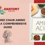 Branched Chain Amino Acids - A Comprehensive Guide